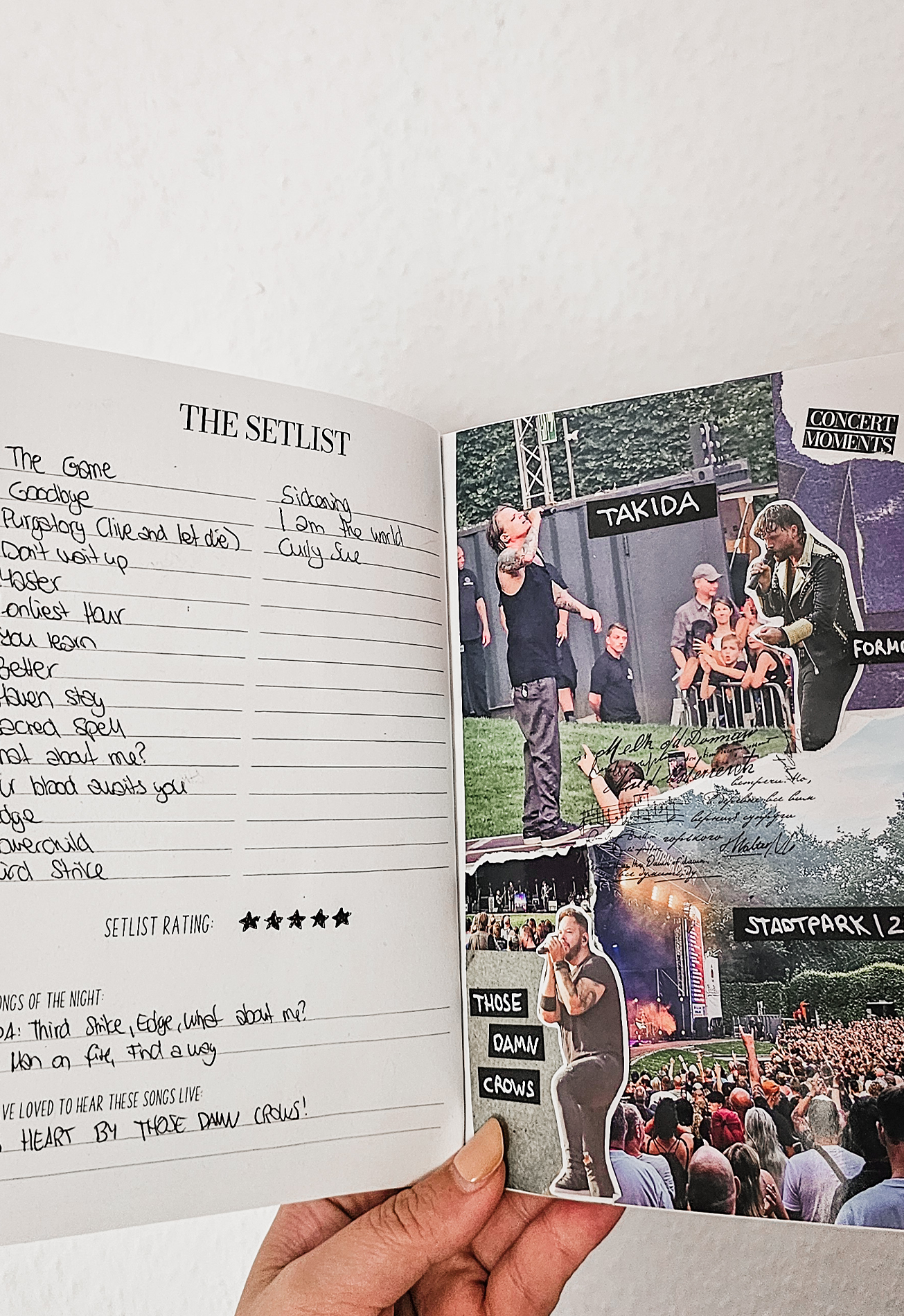 Konzerttagebuch Volume 4 NEU | nachhaltig | Concert Recaps mit 4 Seiten | Konzertjournal | A5 | für 30 Konzerte